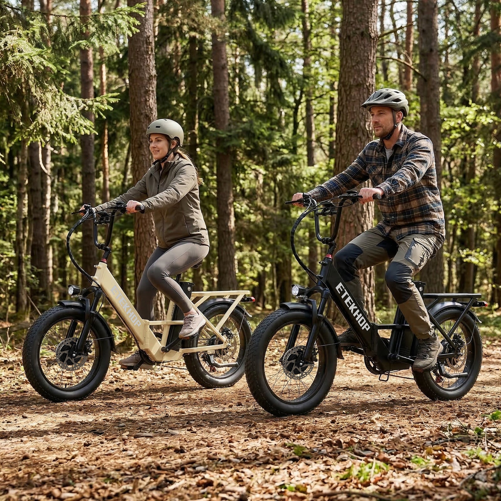 D20 Pro 3.0 Step-Thru Ebike