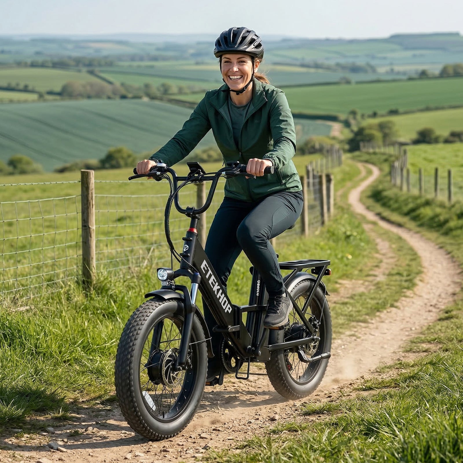 D20 Pro 3.0 Step-Thru Ebike