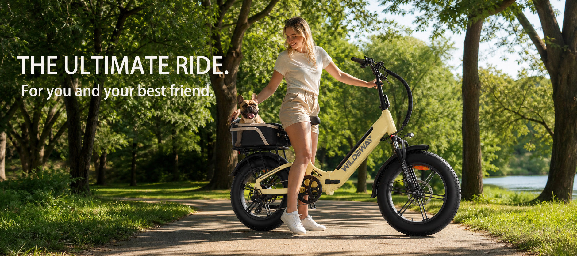 A happy dog sitting securely in a basket on the rear rack of a black WILDEWAY Torpedo step-through e-bike, enjoying a summer ride with its owner.