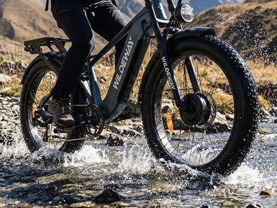 Wildeway Soared Pro / Max All-Terrain Fat Ebike
