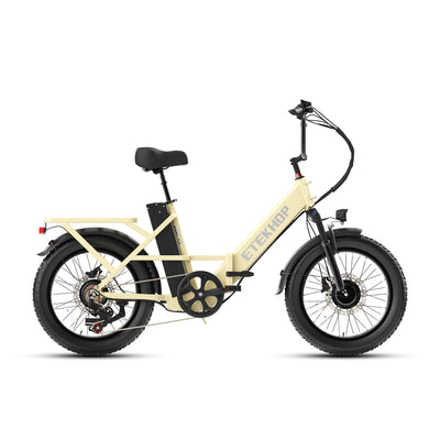 D20 Pro 3.0 Step-Thru Ebike