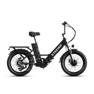 D20 Pro 3.0 Step-Thru Ebike