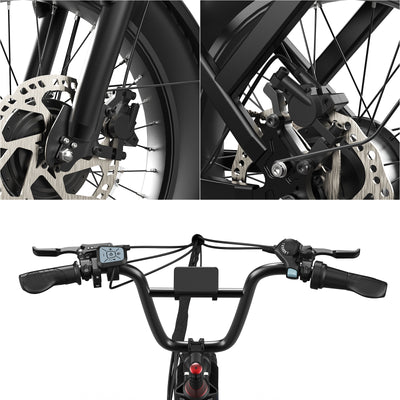 D20 Pro 3.0 Step-Thru Ebike
