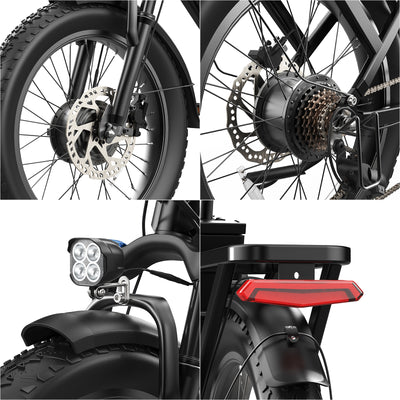 D20 Pro 3.0 Step-Thru Ebike