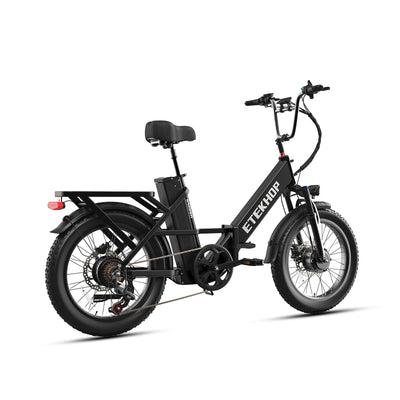 D20 Pro 3.0 Step-Thru Ebike