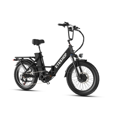 D20 Pro 3.0 Step-Thru Ebike