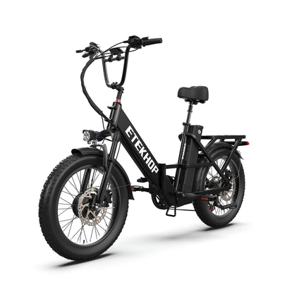 D20 Pro 3.0 Step-Thru Ebike