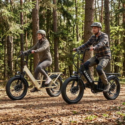 D20 Pro 3.0 Step-Thru Ebike