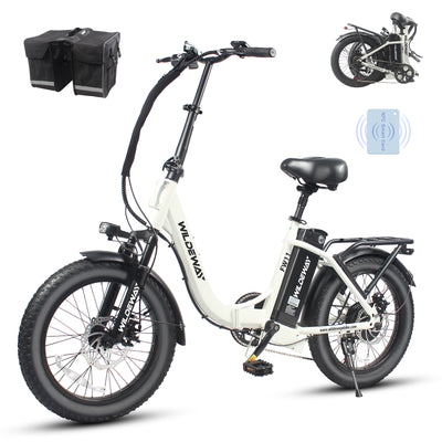 Wildeway FW11 3.0 15Ah Ebike