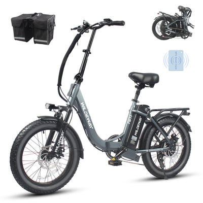 Wildeway FW11 3.0 15Ah Ebike
