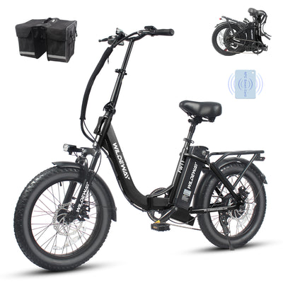 Wildeway FW11 3.0 15Ah Ebike