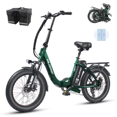 Wildeway FW11 3.0 15Ah Ebike