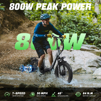 Wildeway FW11 3.0 15Ah Ebike
