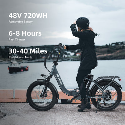 Wildeway FW11 3.0 15Ah Ebike