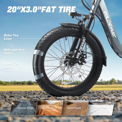 Wildeway FW11 3.0 15Ah Ebike