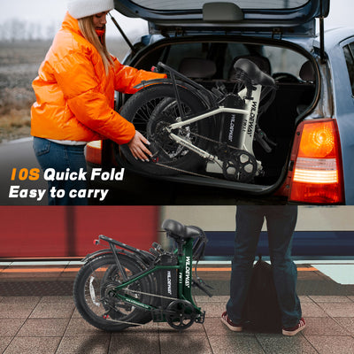 Wildeway FW11 3.0 15Ah Ebike