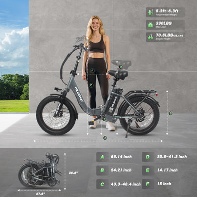 Wildeway FW11 3.0 15Ah Ebike