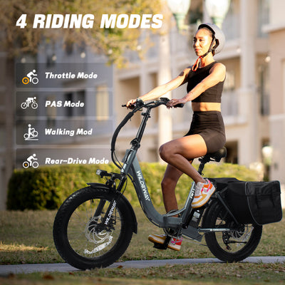 Wildeway FW11 3.0 15Ah Ebike