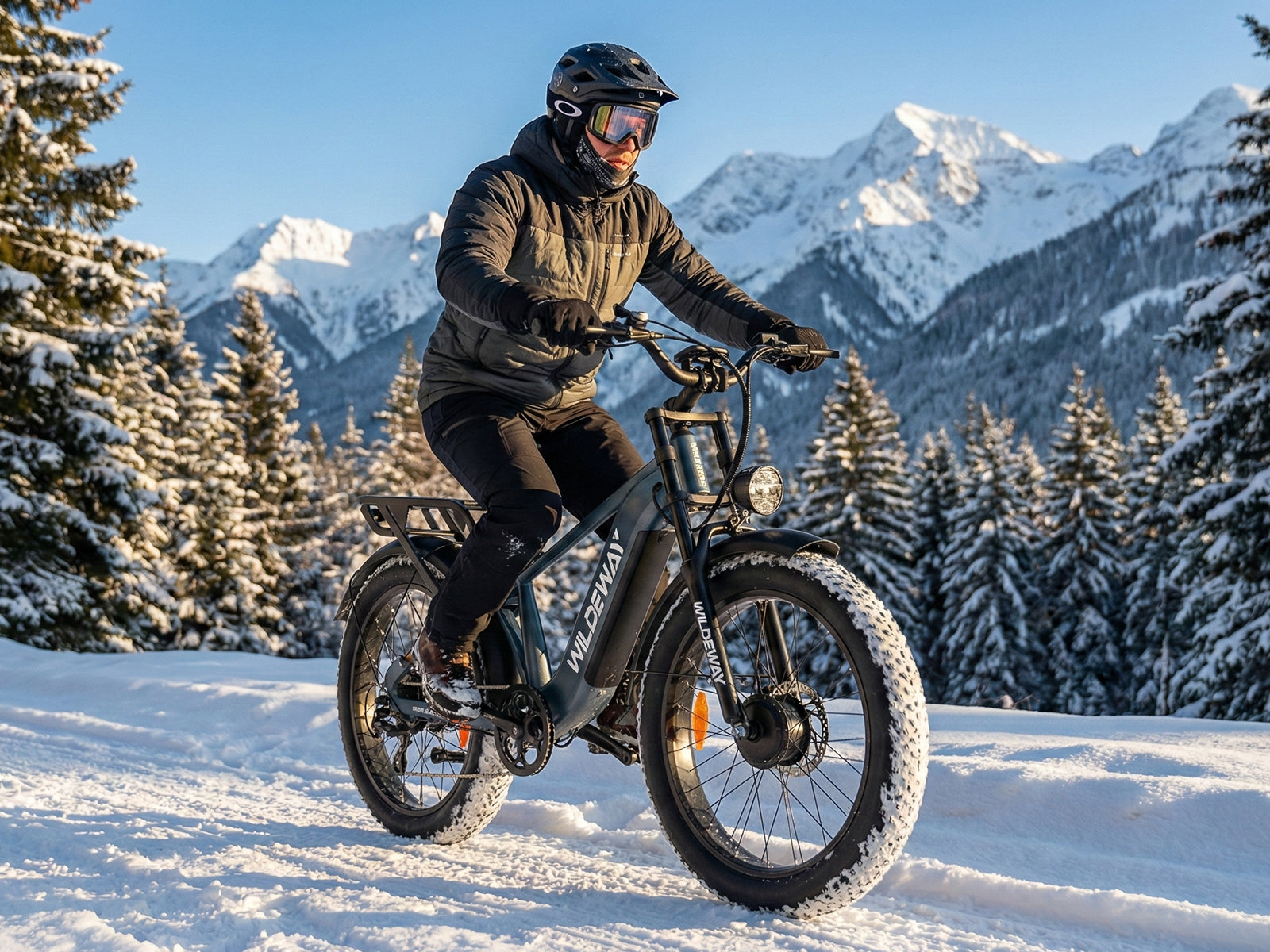 Wildeway Soared Pro / Max All-Terrain Fat Ebike