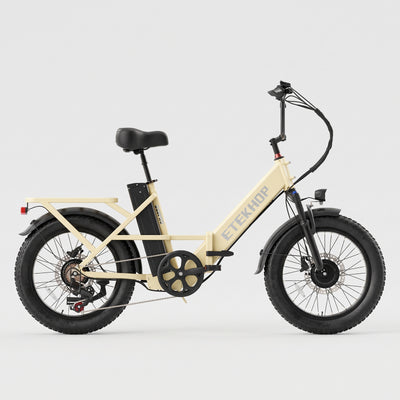 D20 Pro 3.0 Step-Thru Ebike